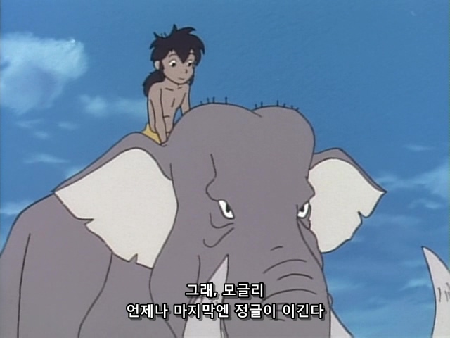Jungle Book Shounen Mowgli 45 (DVD 640x480 x264 10bit AC3) [49A6A578].mp4_20190521_172751.888.jpg