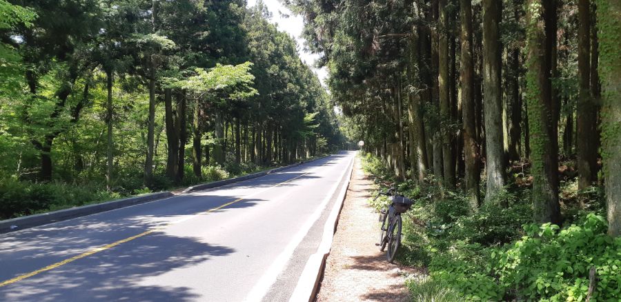 (초스압) 2019년 5월 고통과 치유의 제주도 자전거 캠핑_7.jpg