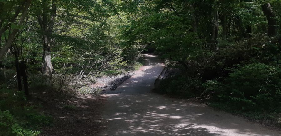 (초스압) 2019년 5월 고통과 치유의 제주도 자전거 캠핑_8.jpg