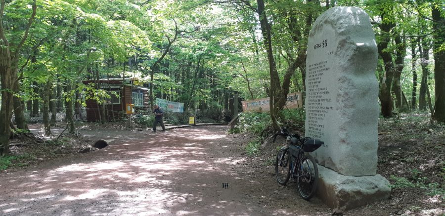 (초스압) 2019년 5월 고통과 치유의 제주도 자전거 캠핑_9.jpg