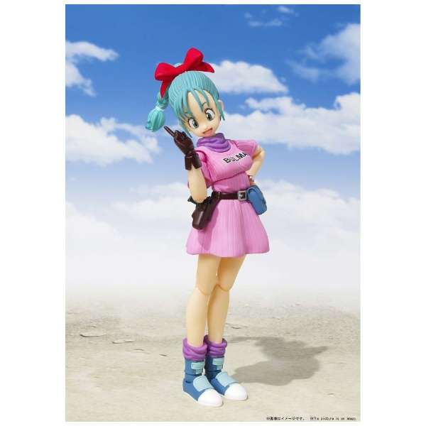 SHF 부르마 -대모험의 시작-_5.jpg