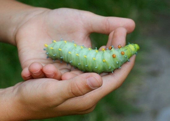 군대썰중 듣고 가장 적응 안되는거(혐주의)_3.jpg