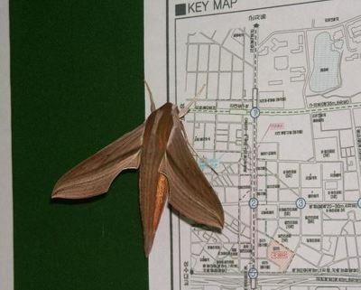 군대썰중 듣고 가장 적응 안되는거(혐주의)_4.jpg