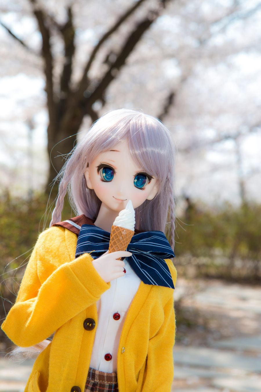 늦은 벚꽃철 사진_2.jpg