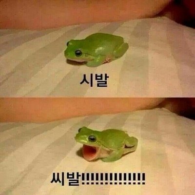 대물 기만자들 이거봐라_1.jpg