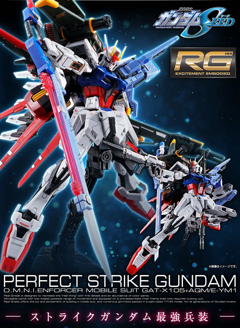 20190614_rg_perfectstrike_02.jpg