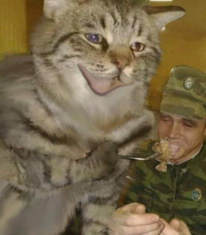 역시자지의 관점.jpg_2.jpeg