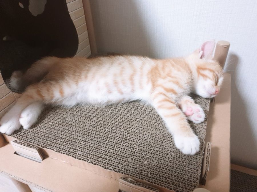 KakaoTalk_20190618_213832033.jpg