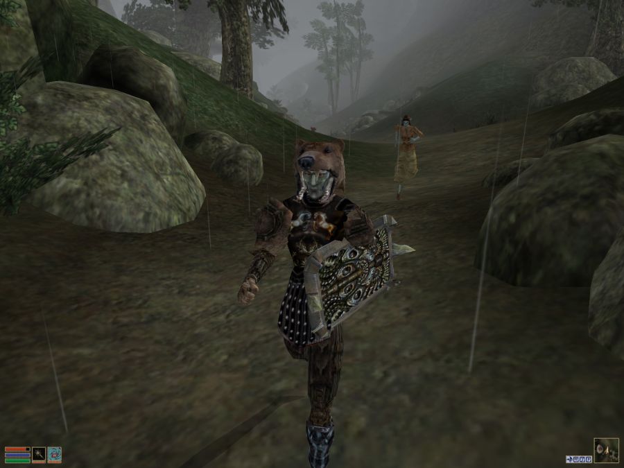 Morrowind (17).jpg