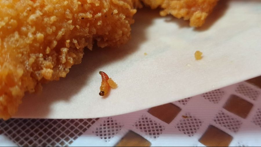 롯데리아 지파이 후기_1.jpg