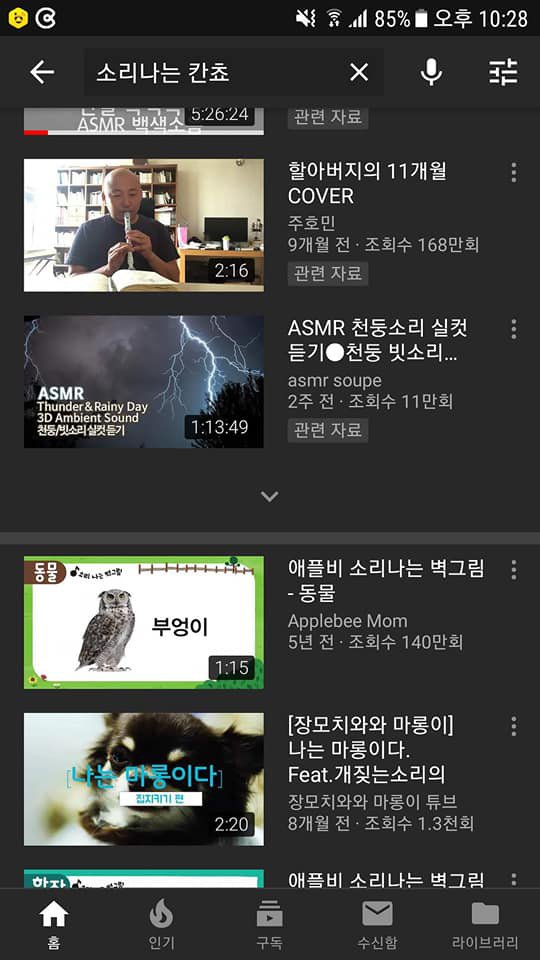 검색어 : 소리나는 칸쵸 외...._1.jpg