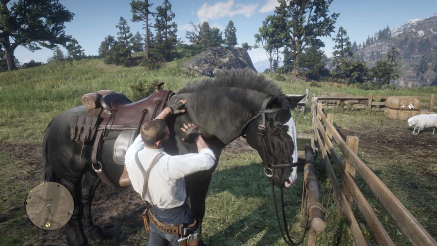 Red Dead Redemption 2_20190721202515.jpg