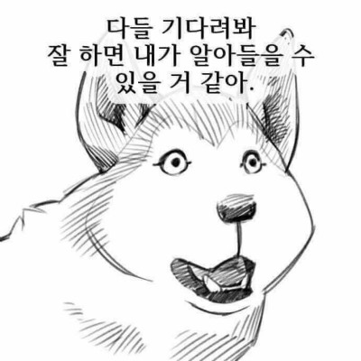 일본에서 추방 당했다는 한서희.jpg_3.jpeg