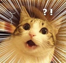 맛폰 저장용 짤_4.jpeg