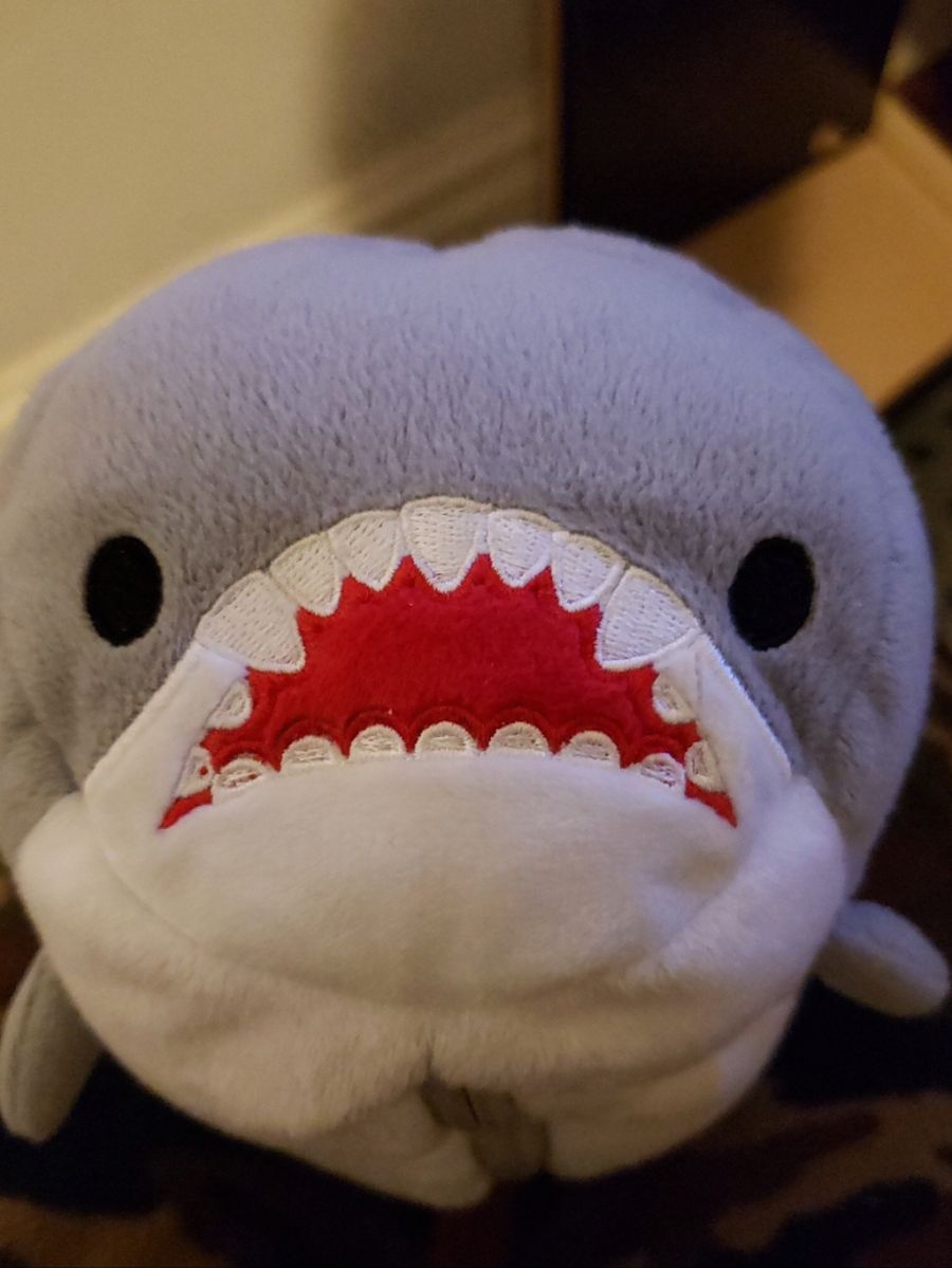 복사기에 상어 인형을 넣어봤다.jpg_7.jpg