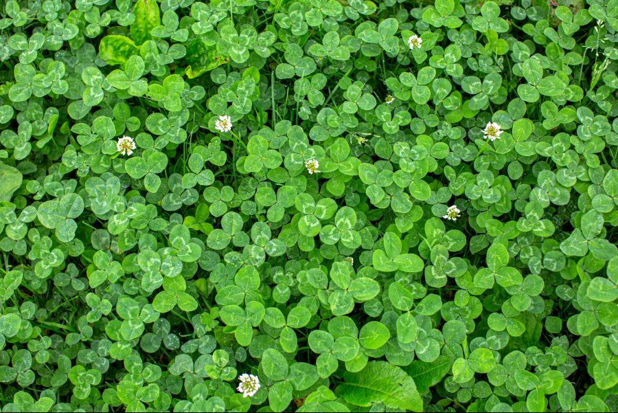 비오는 날 캠핑 - 후모톳파라 1박2일(용량,스압주의)_65.jpg