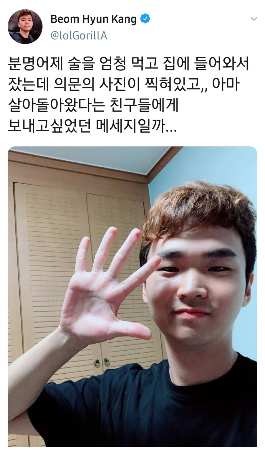 고릴라 근황_1.jpg
