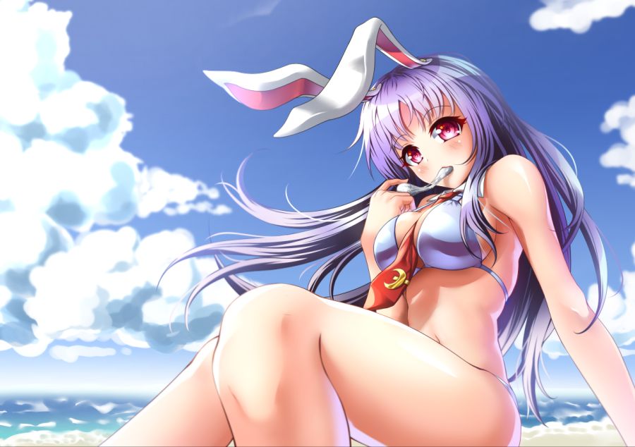 __reisen_udongein_inaba_touhou_drawn_by_kamajey__23623461b81e8beeb815a8c82382da0b.png