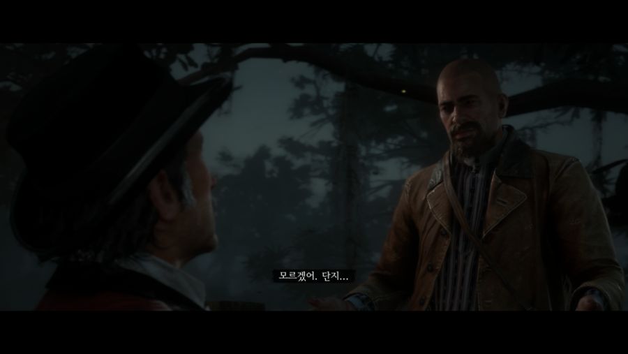 Red Dead Redemption 2_20190807143550.png