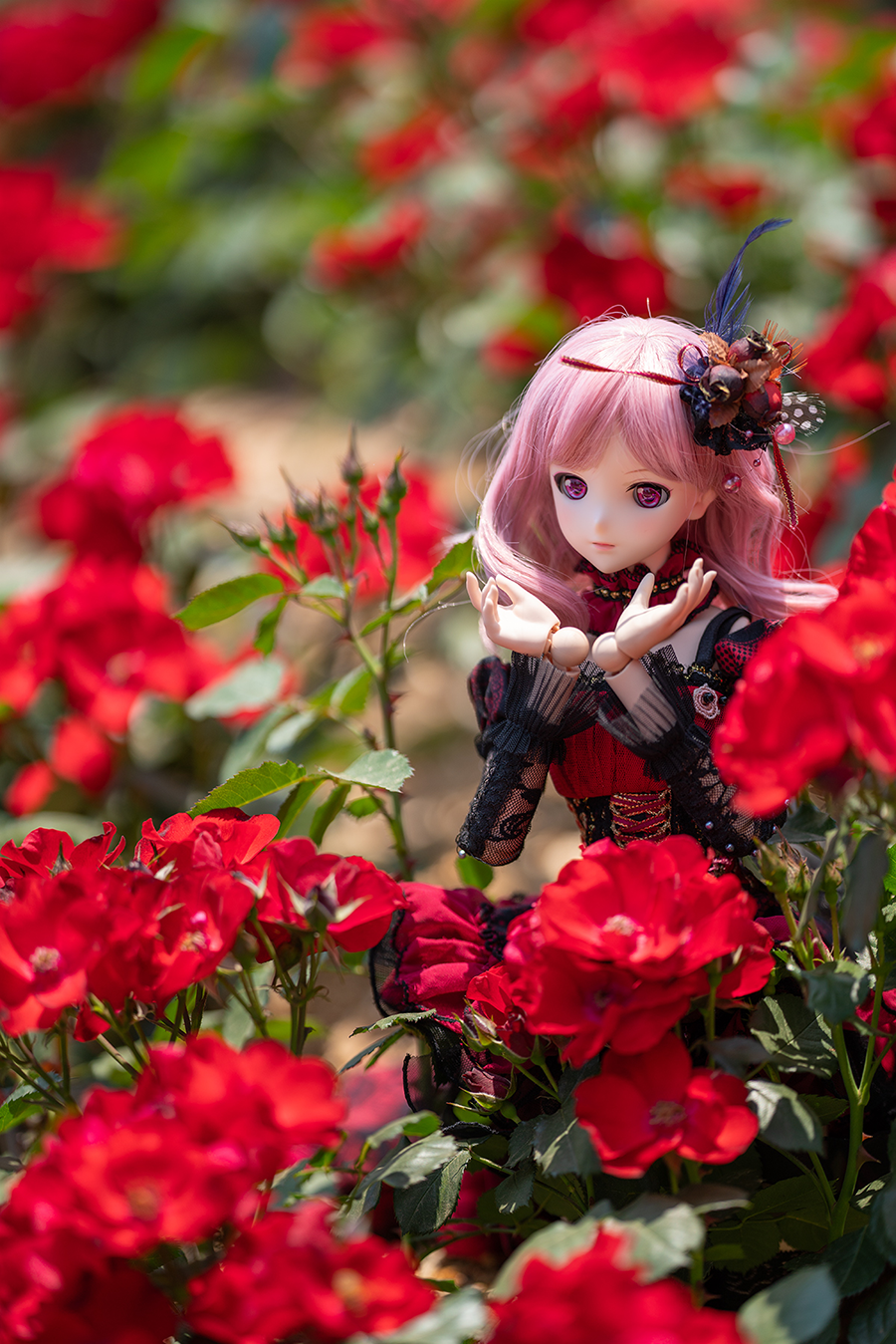 서울대공원 장미 축제 외..._6.png