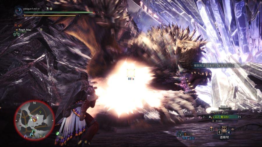 MonsterHunterWorld 232308.jpg