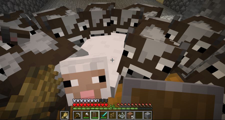 마크 네더석영캐기 말고 다른 레벨업 수단 없나_2.png