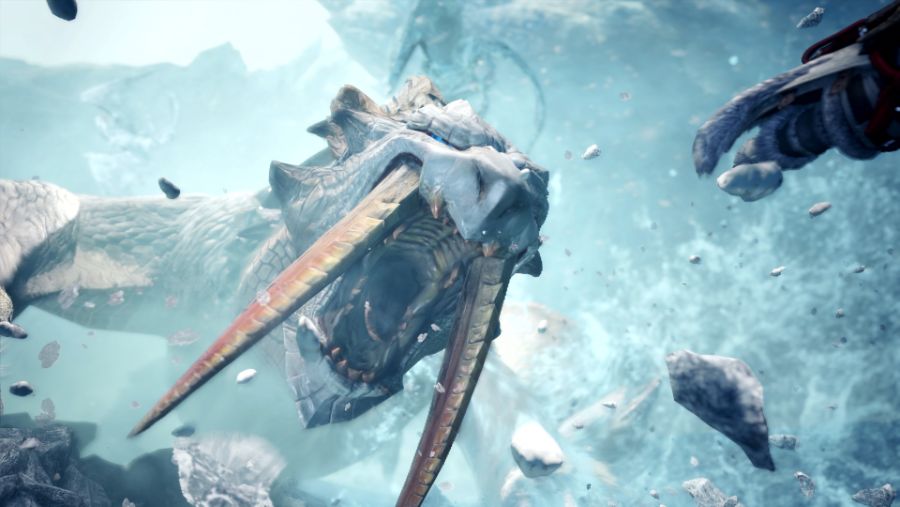 Monster-Hunter-World-Iceborne_2019_08-20-19_003.jpg