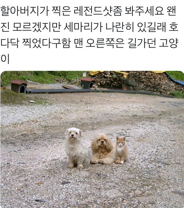 따듯한 야생의 세계.jpg_1.jpg