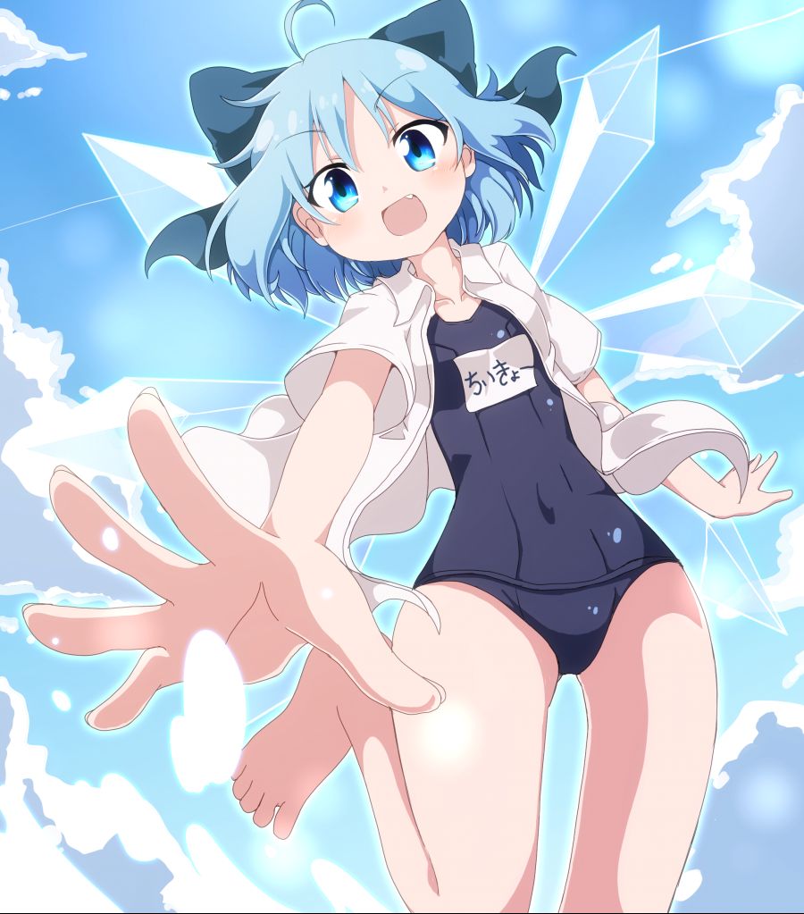 __cirno_touhou_drawn_by_do_4_rt__6da0a93edeb57913e0d648611ebfa587.jpg