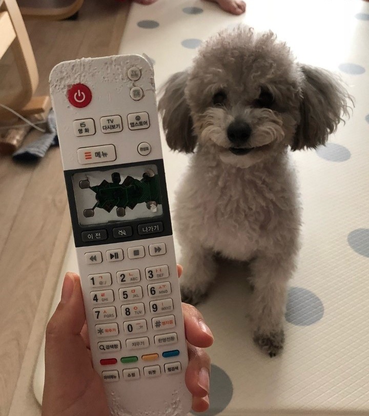 ㅋㅋ 꼽냐 주인샊꺄?_1.jpg