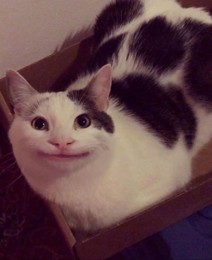 호불호) 랜덤픽)아침 기념 보면 호불호인 짤 모음_30.jpg