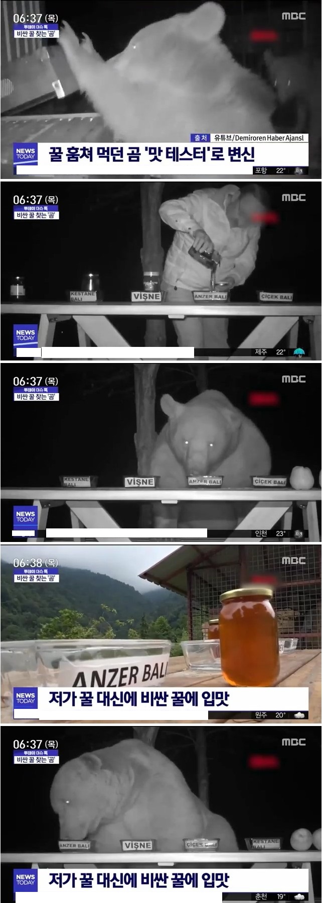 마을로 내려와 음식 훔쳐먹던 곰 근황.jpg_1.jpg