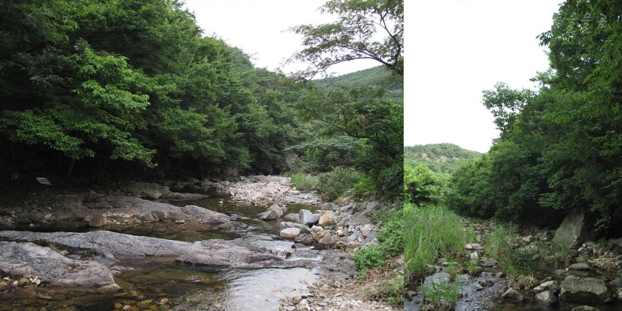 10년전 여수 맛기행 with 교포 girl_19.jpg