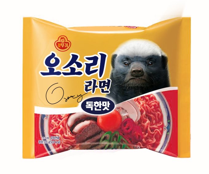 벌꿀오소리