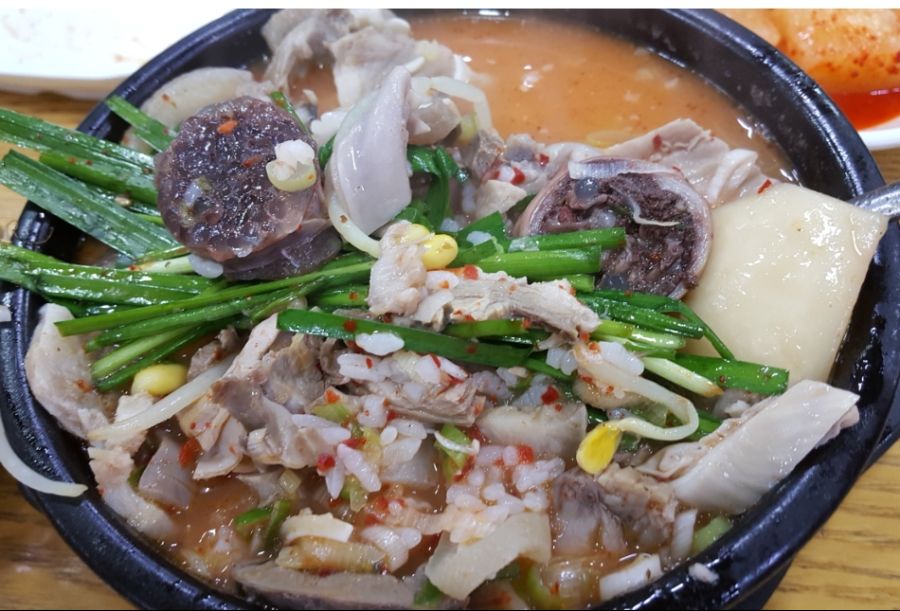 순대국맛집 금모레순대국 korea street food 8000krw 米肠汤 Noodles with Korean Sausage.jpg