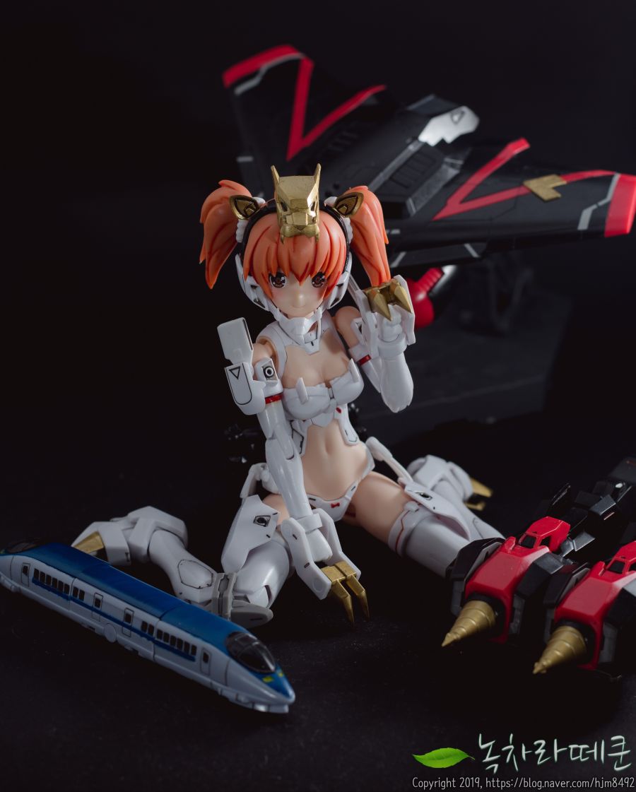 [고토]크로스프레임걸 가오가이거 리뷰_9.jpg