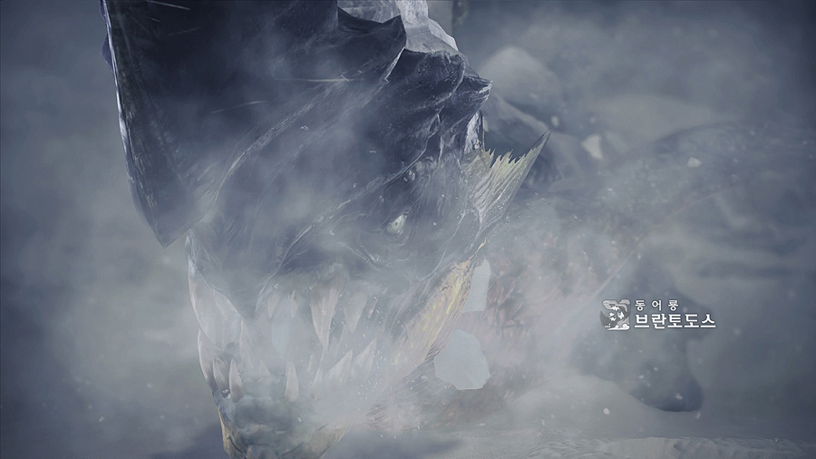 Monster Hunter World_ Iceborne_20190905220446.jpg