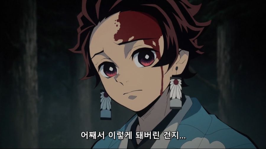 귀멸의 칼날 - 인간을 해친 오니이기에 베고 한때 인간이었기에 동정심을 품는다._20.jpg