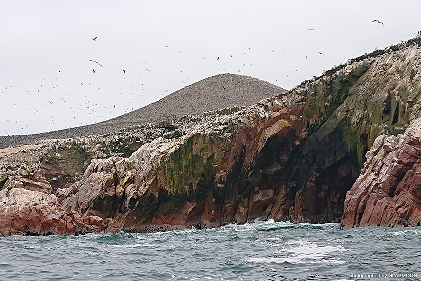 페루 여행기 - 그림과 모래와 새_53.jpg