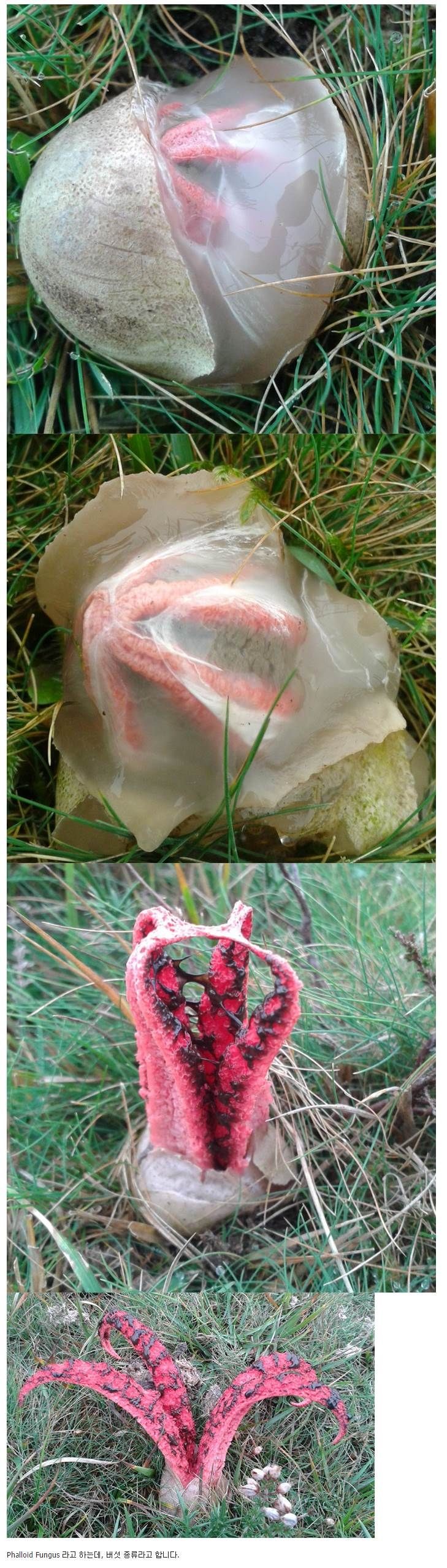 가능충 입장하세요._1.jpg