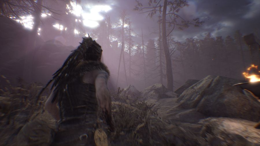 Hellblade 2019-10-10 06-58-16.jpg