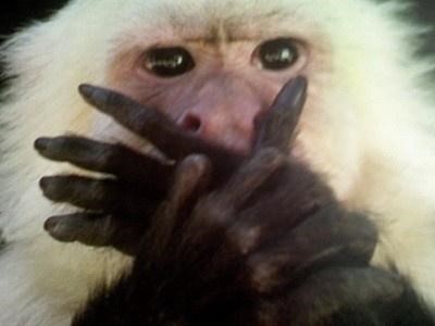 햄버거 먹으려다 입틀막.jpg_2.jpg