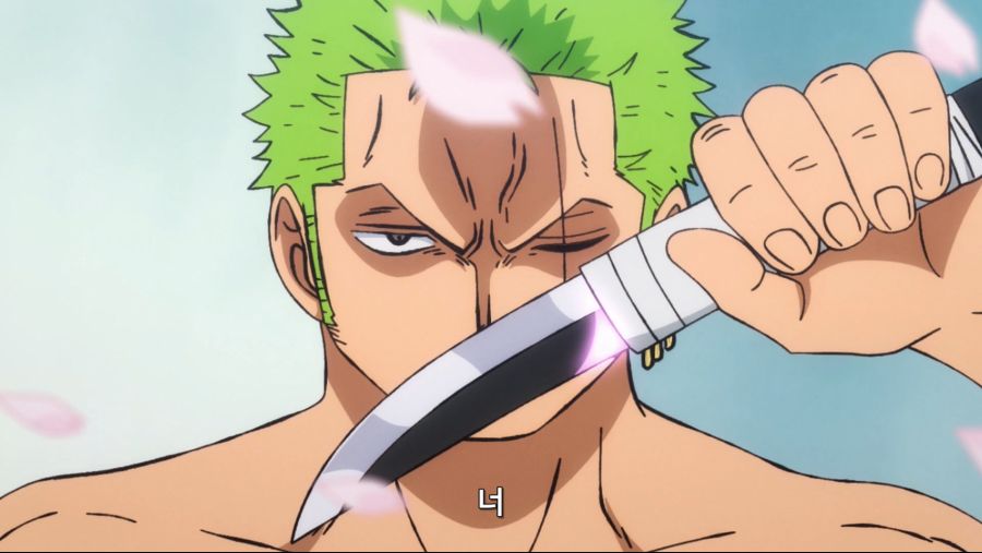 [자막] One Piece - 892 (TVA 1920x1080 x264 AAC).mkv_20191019_133403.134.jpg