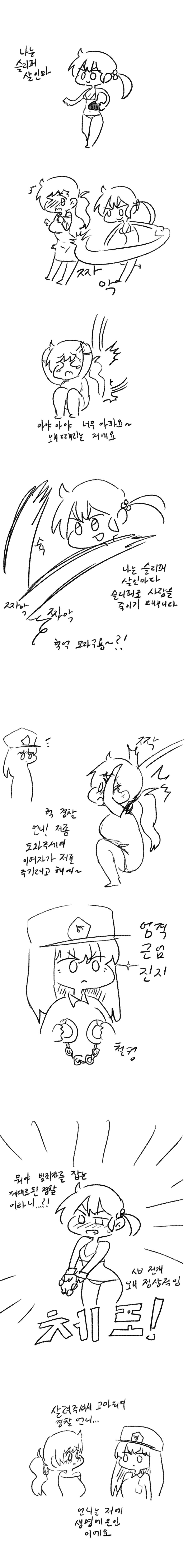 슬리퍼 살인마 1.jpg