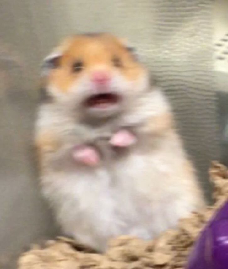 A컵녀 고민_2.jpg