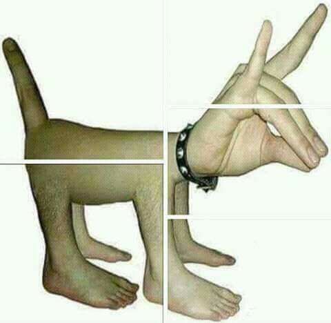 *저주받은 이미지들* 27편 (특)_16.jpeg