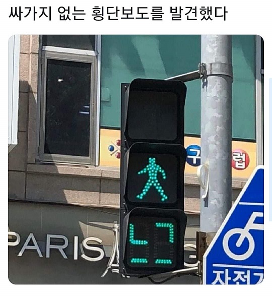 신호등 : 느그 빨리 안건너나? 어?_1.jpg