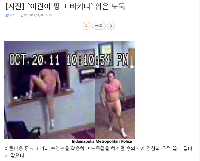 변장하고 침입한 도둑