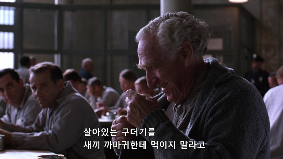 The.Shawshank.Redemption.1994.Bluray.1080p.TrueHD.x264-Grym.mkv_20191103_231253.600.jpg