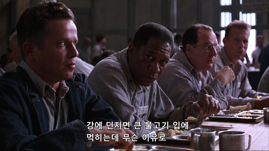 The.Shawshank.Redemption.1994.Bluray.1080p.TrueHD.x264-Grym.mkv_20191103_231322.064.jpg